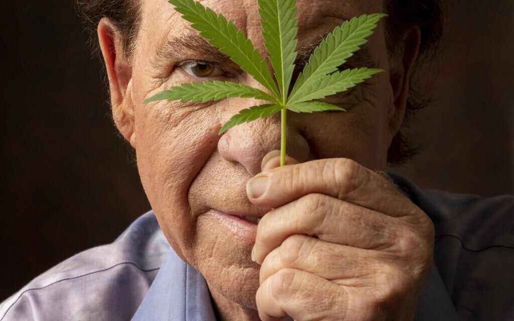 TweeterReynolds's tweet photo. STUDY. Legalisation of #cannabis leads to reductions in crime, traffic fatalities, suicides, mental illness, alcohol and tobacco consumption. Large reduction in hospital admissions for alcohol and no increase in underage cannabis use. #drugspolicy https://t.co/i1arsVVjS2 https://t.co/dVQqdKLYa3
