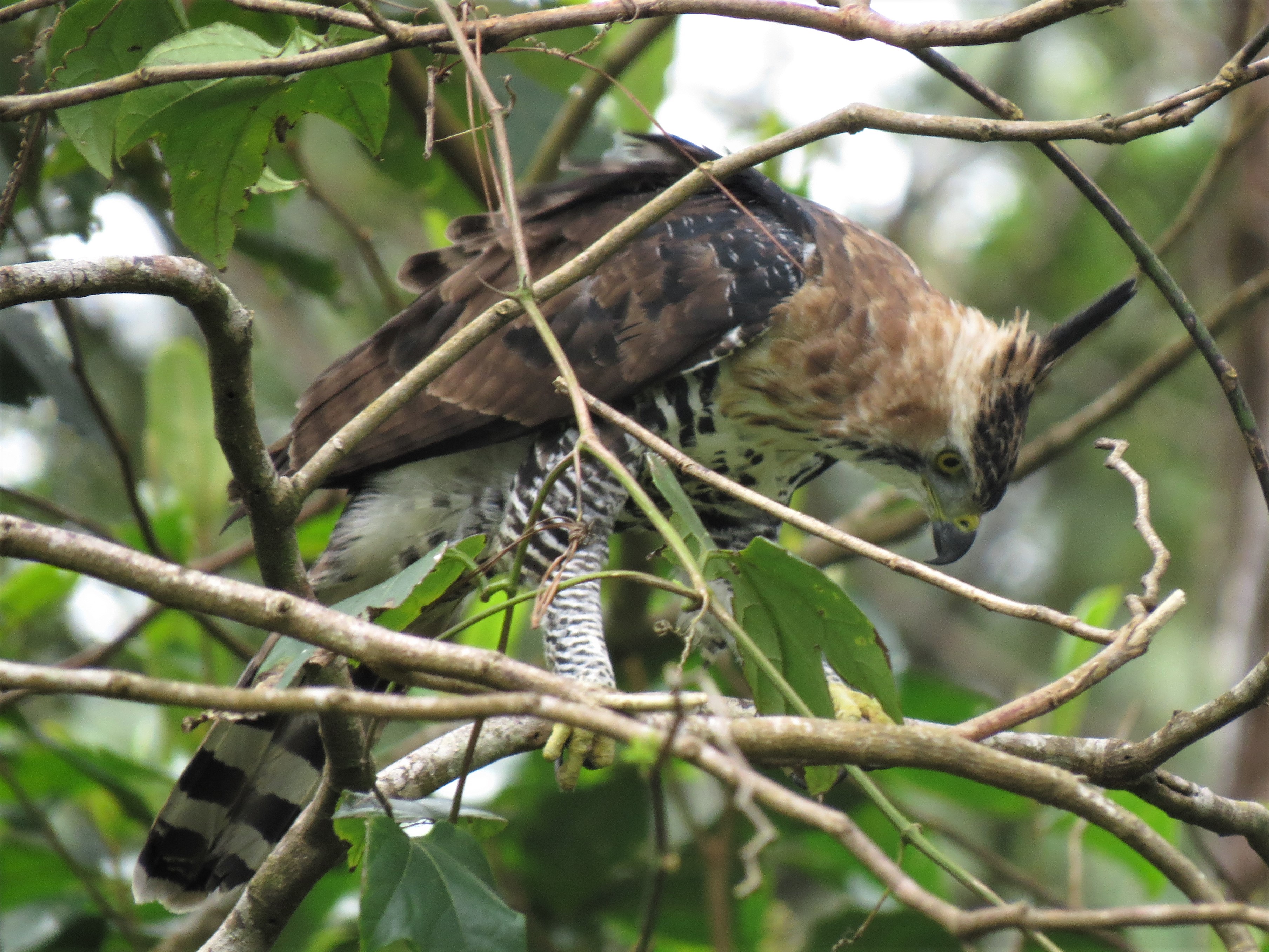 Ed Hunter (edhunterhere) / Twitter