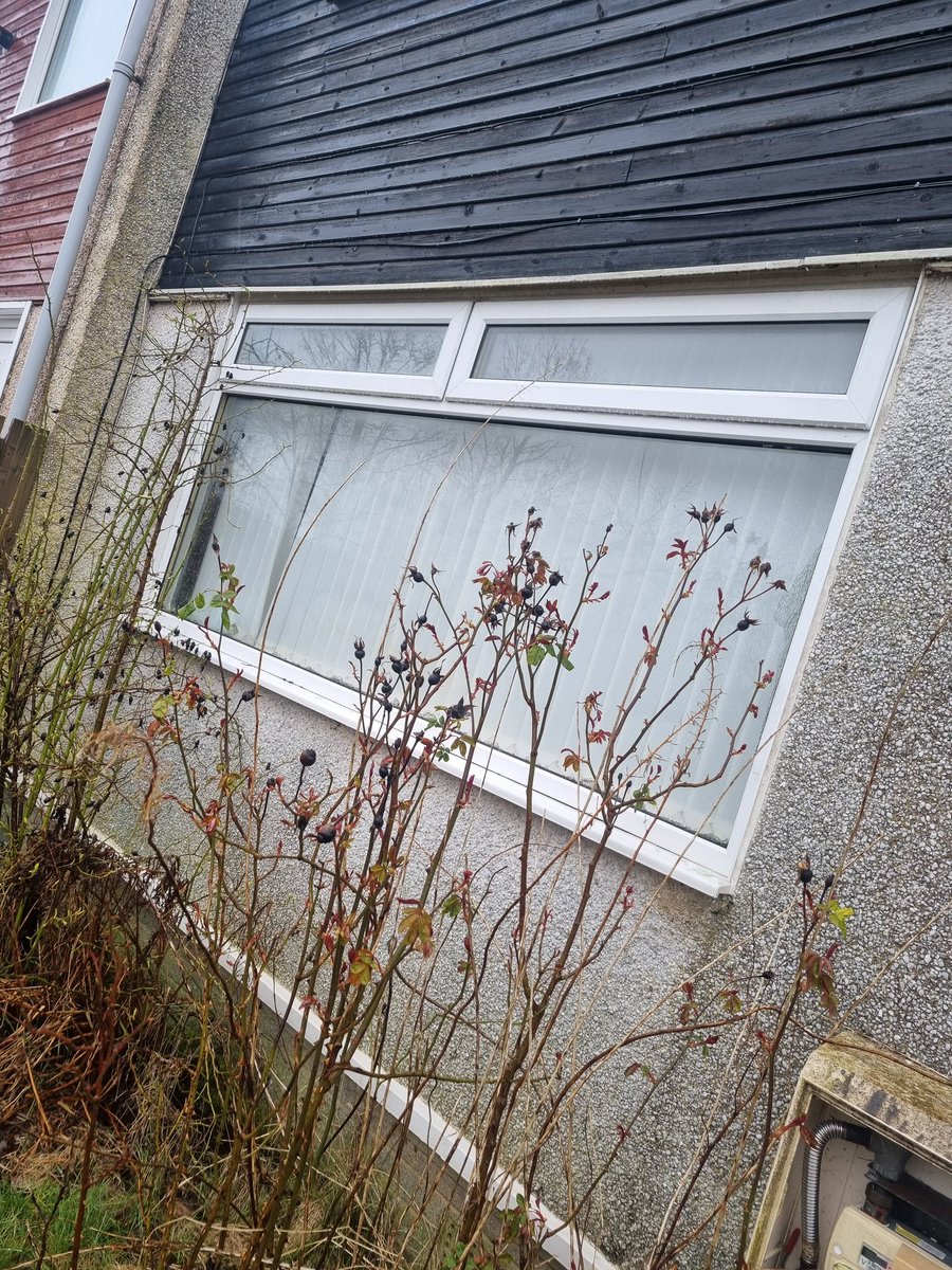 agent389699's tweet photo. @SouthLanCouncil @MBuchananEK 
Yet again I'm reporting this absolute dump of a property that has lay empty for over 3 years, I'm sick of looking out my window to see this. It is now being broken into, windows smashed and used as a rubbish dump. I'm sick of it!! Mallard place, EK https://t.co/r0b2oAEQ0H