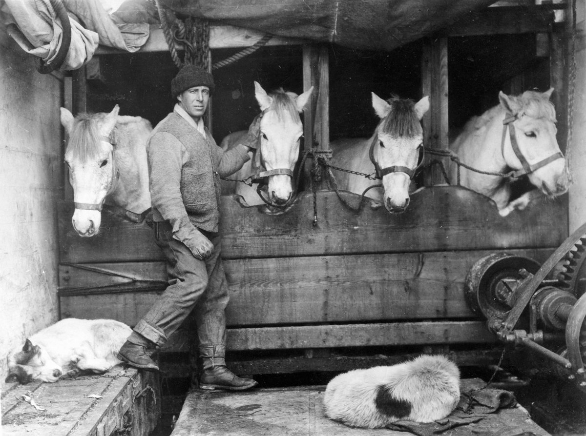 danthewhaler's tweet photo. On this day 1912 (maybe 17th) - Captain Lawrence Oates died. Scott: He slept through the night before last, hoping not to wake; but he woke in the morning - yesterday. It was blowing a blizzard. He said: "I am just going outside and may be some time." His body was never found. https://t.co/YBZ76z3wg8