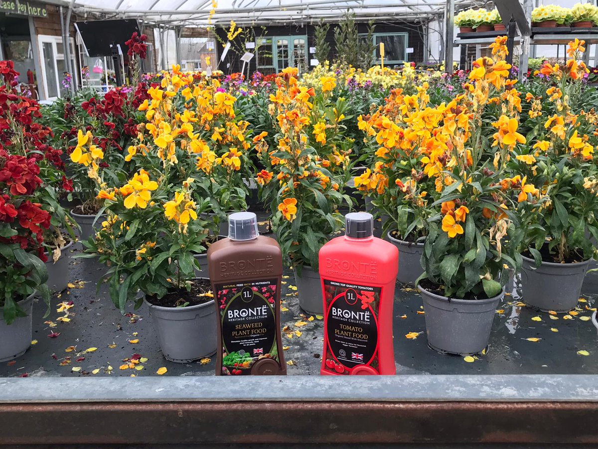 BronteHeritage's tweet photo. Find us at @CranbrookPlants  in Cambridge today showcasing our compost trials,  peat free compost and plant feeds. 
#peatfree #compost #peatfreecompost #plantfeeds #composttrial
🌹🌼🌺🪴🌸 https://t.co/MJa9hraZ1l