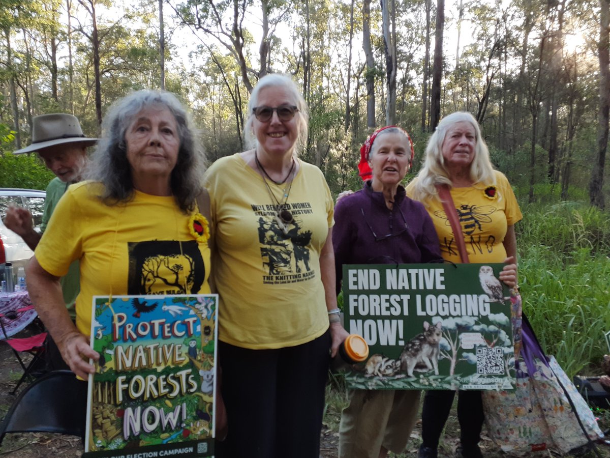 Midcoast_KNAG's tweet photo. Nannnas frm the South coast, Midcoast & Northern Rivers came out to joined the #ForestWalkOn with #ForestProtectors to save native forests.
The Gov & Labor party still aid, abet & fund the destruction of our public forests.
#EndNativeForestLogging
#Yarratt #DoubleDuke #Brooman https://t.co/pSJgQ01El2