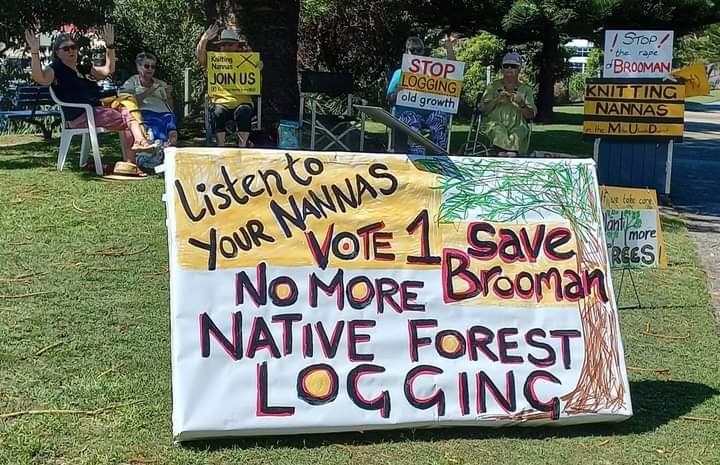 Midcoast_KNAG's tweet photo. Nannnas frm the South coast, Midcoast & Northern Rivers came out to joined the #ForestWalkOn with #ForestProtectors to save native forests.
The Gov & Labor party still aid, abet & fund the destruction of our public forests.
#EndNativeForestLogging
#Yarratt #DoubleDuke #Brooman https://t.co/pSJgQ01El2