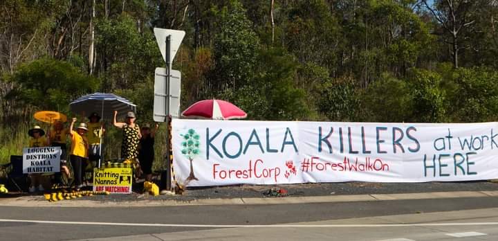 Midcoast_KNAG's tweet photo. Nannnas frm the South coast, Midcoast & Northern Rivers came out to joined the #ForestWalkOn with #ForestProtectors to save native forests.
The Gov & Labor party still aid, abet & fund the destruction of our public forests.
#EndNativeForestLogging
#Yarratt #DoubleDuke #Brooman https://t.co/pSJgQ01El2