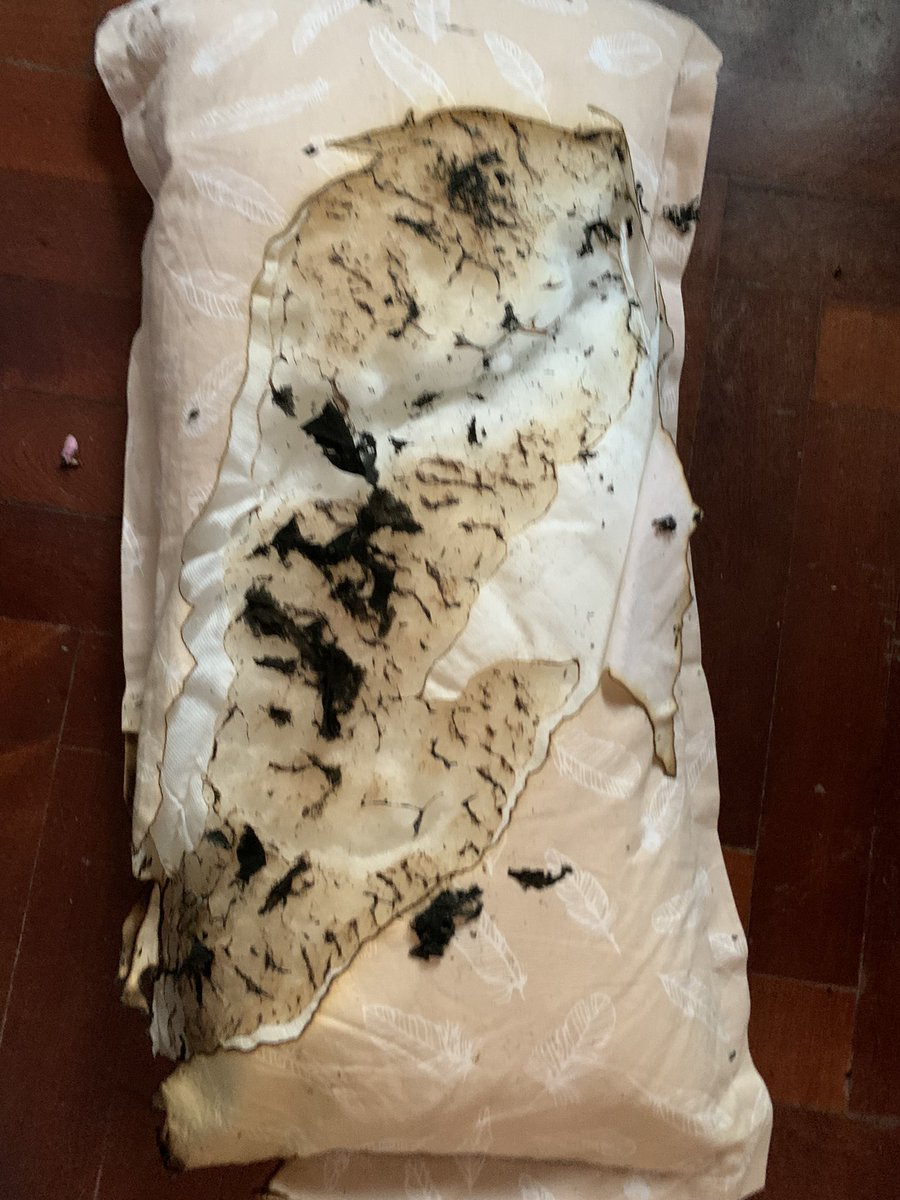 themesswerein's tweet photo. Bueno, van 40 hs sin luz @OficialEdesur y ayer se me quemó una almohada porque estoy durmiendo en otra posición para no cagarme de calor y dormida se cayó encima del espiral. Se me podría haber incendiado la casa y ni me enteraba . https://t.co/SNHreB1Iny