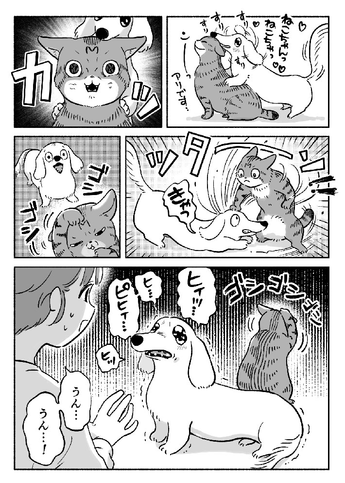 さっきまでイチャイチャしてたのに…! 猫が突然キレた理由に「笑った」 https://t.co/z4KIyg9UuS @grapeejpより 