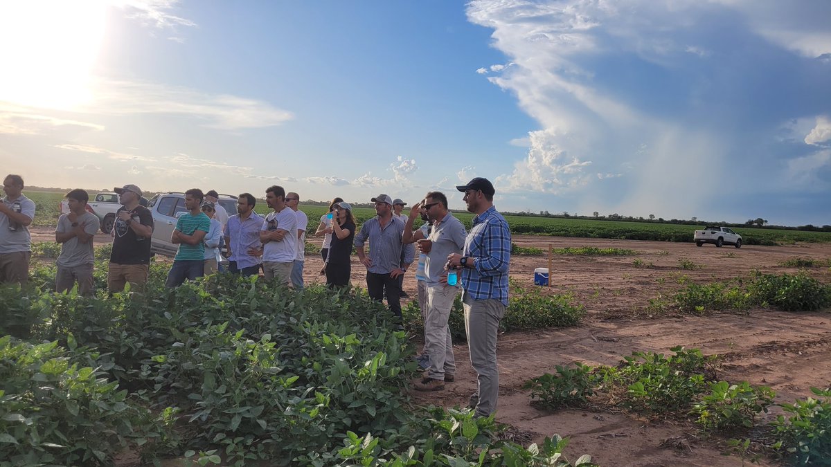 PabloMainez's tweet photo. Jornada de intercambio técnico junto a agro servicios J Manuel en sachayoj, plagas y enfermedades en soja y maíz, toma de decisiones niveles de daño, pérdidas estos y otros conceptos repasamos junto a @Tino_DeRossi #festioduo #tekarium @Syngenta_ar https://t.co/KGsNPeiItW