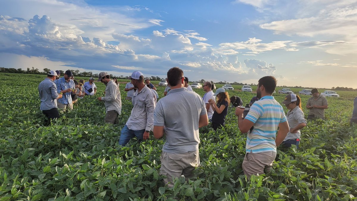 PabloMainez's tweet photo. Jornada de intercambio técnico junto a agro servicios J Manuel en sachayoj, plagas y enfermedades en soja y maíz, toma de decisiones niveles de daño, pérdidas estos y otros conceptos repasamos junto a @Tino_DeRossi #festioduo #tekarium @Syngenta_ar https://t.co/KGsNPeiItW