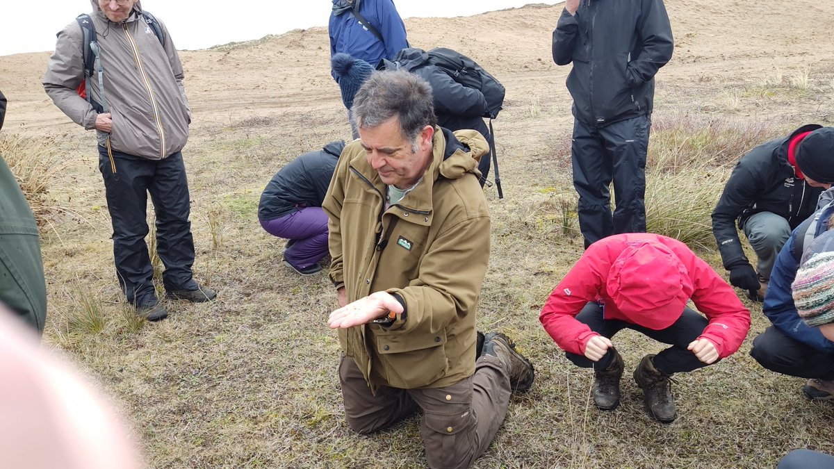 Hannah Lee || she/her tweet media