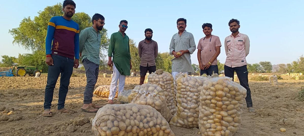 Rajasthan_Tak's tweet photo. रेगिस्तान में आलू उगाकर किसान ने कमाए 1 करोड़ रुपये! विदेश में बनेगी फ्रेंच फ्राई
#PotatoFarming #UniqueFarming #RajasthanNews #InspiringStory
https://t.co/1G01GYedgv https://t.co/CHMX8QwuN5