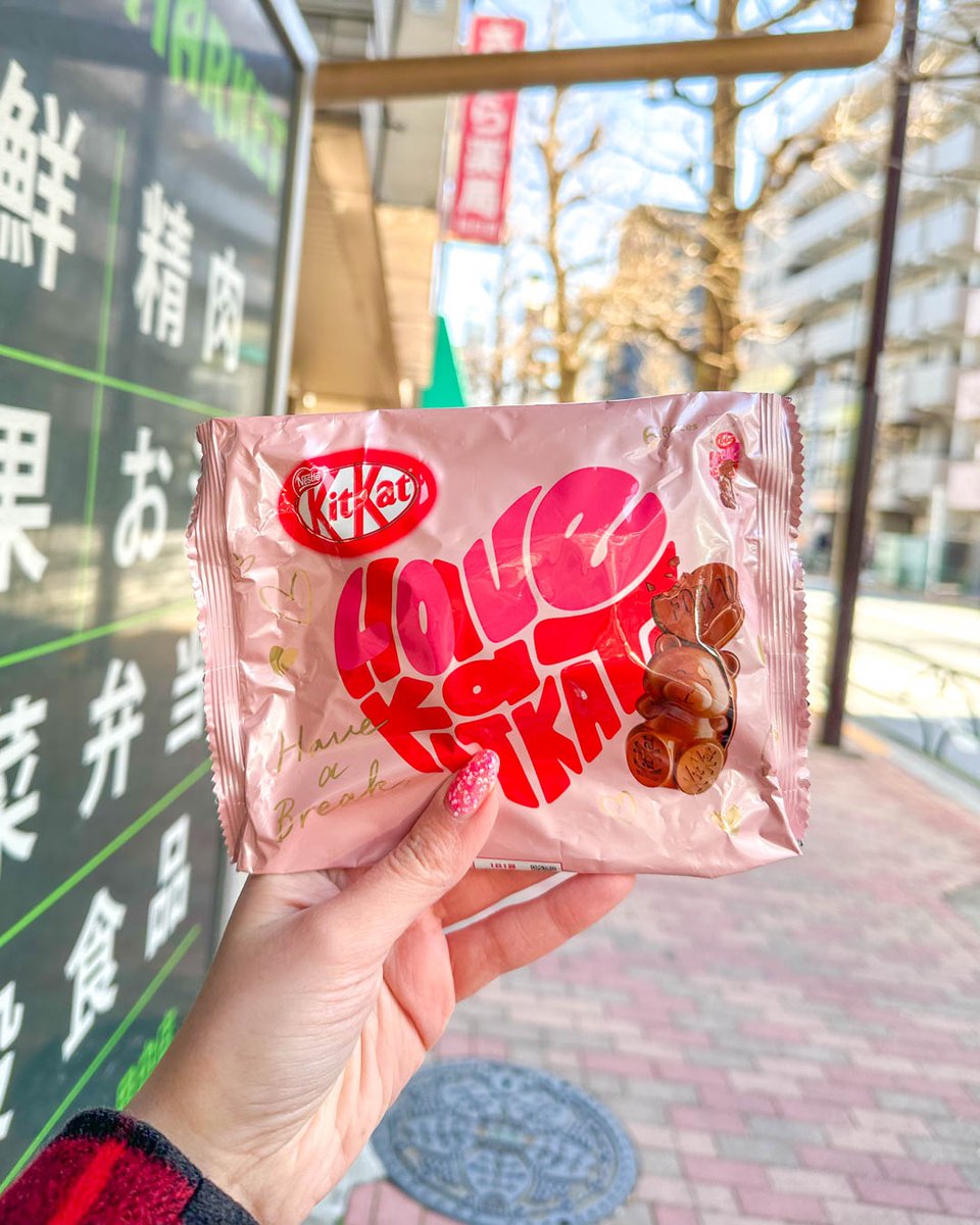 JapanCandyStore's tweet photo. 🚏🎌 Take a break anywhere with these bear-y cute Kit Kat chocolates! 🐻🍫 We’re munching away while waiting for the bus! 🚌

#japancandystore #kitkat #japanesekitkat #japankitkat #japanesecandy https://t.co/8hSV7g6ila