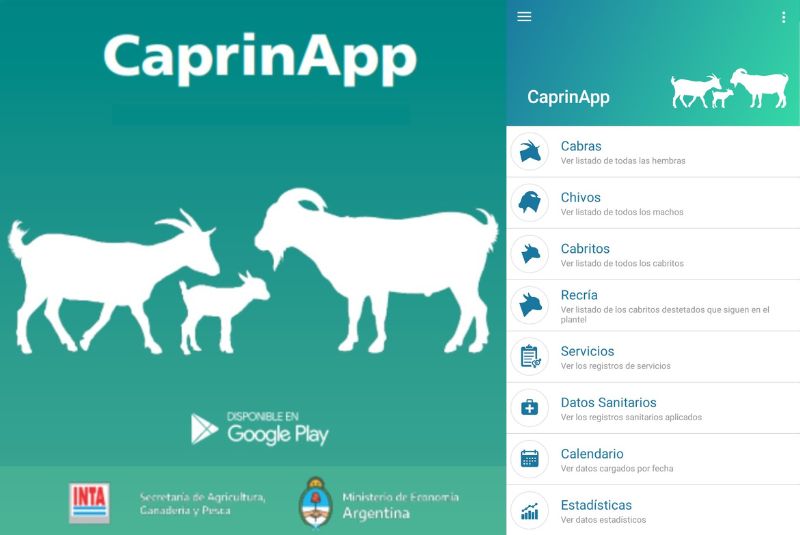 #CaprinApp herramienta para la toma de datos y una mejor interacción entre productores y asesores

✔️tecnología fácil de usar 
✔️mejor control de los eventos 
✔️mayor facilidad para implementación de calendarios para combate contra las patologías 

#AgTech #ProducciónAnimal