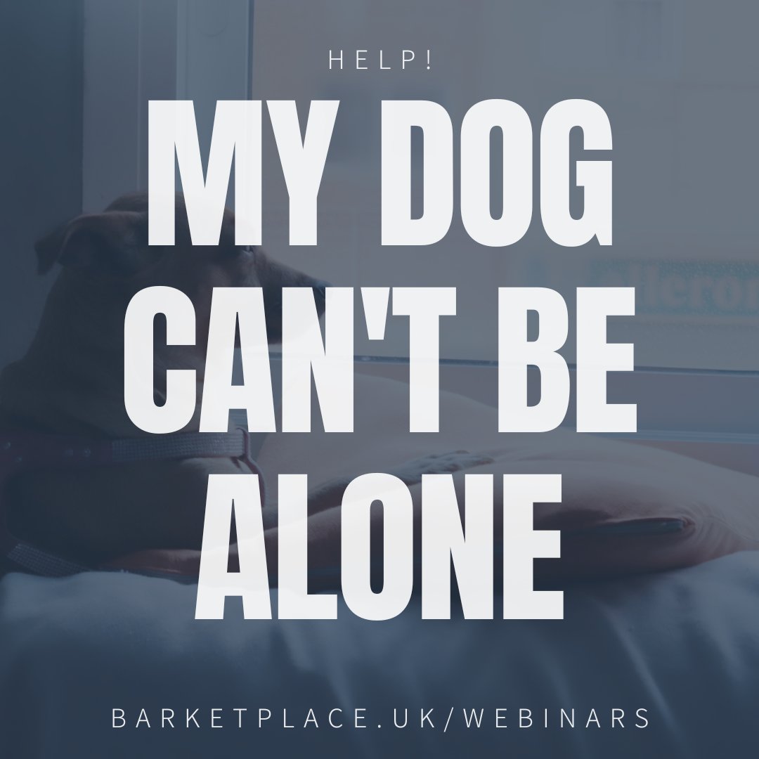 Does your #dog struggle with #separationanxiety? Is it seriously stressing you out? Join our Founder, Caroline, alongside @lindablairpsych as they provide support for BOTH ends of the lead in this special webinar. Right now, just £5! barketplace.uk/shop/the-stres…