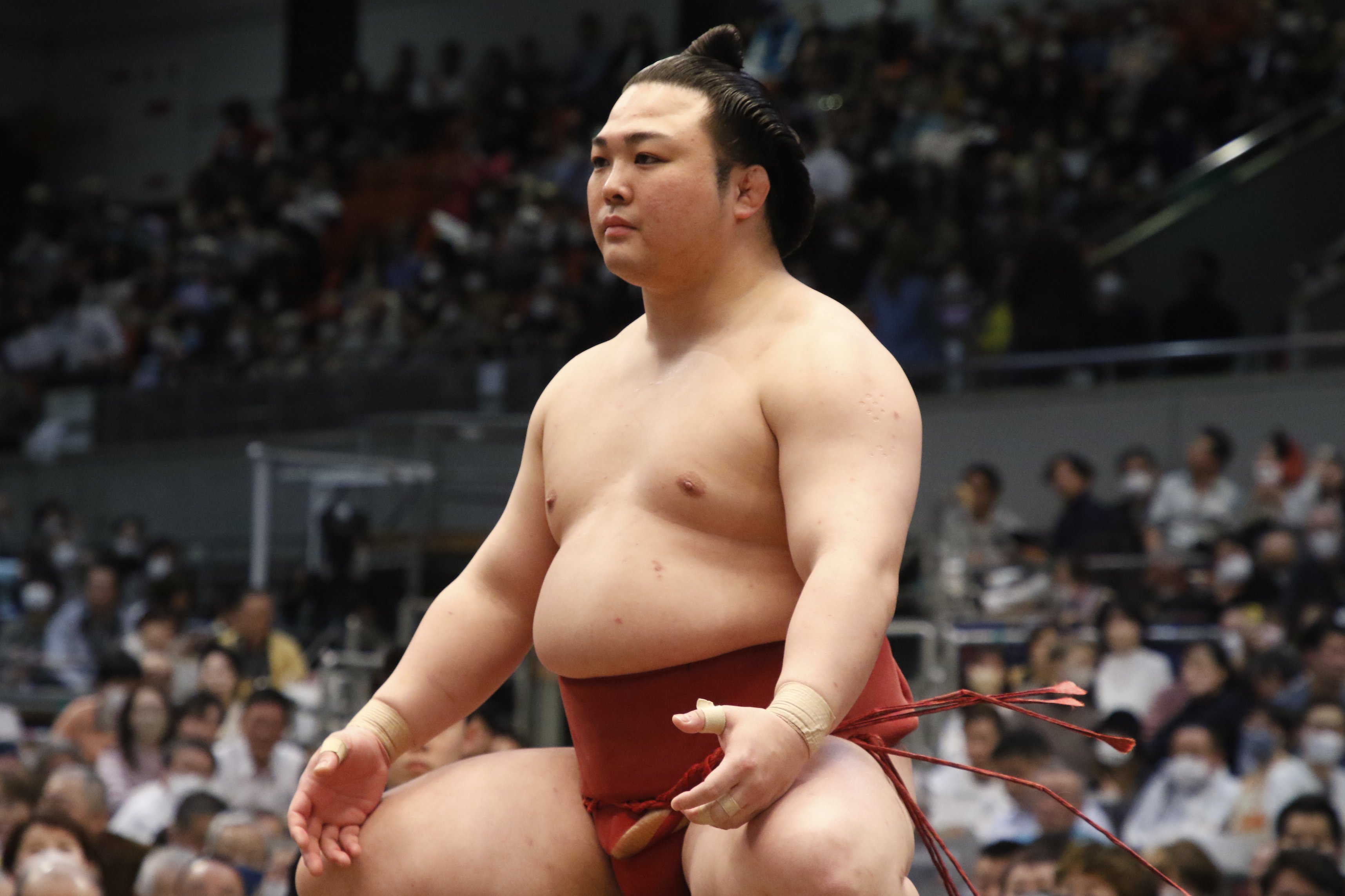 日本相撲協会 | 大相撲五月場所 八日目 王鵬-琴櫻 #sumo DAY8