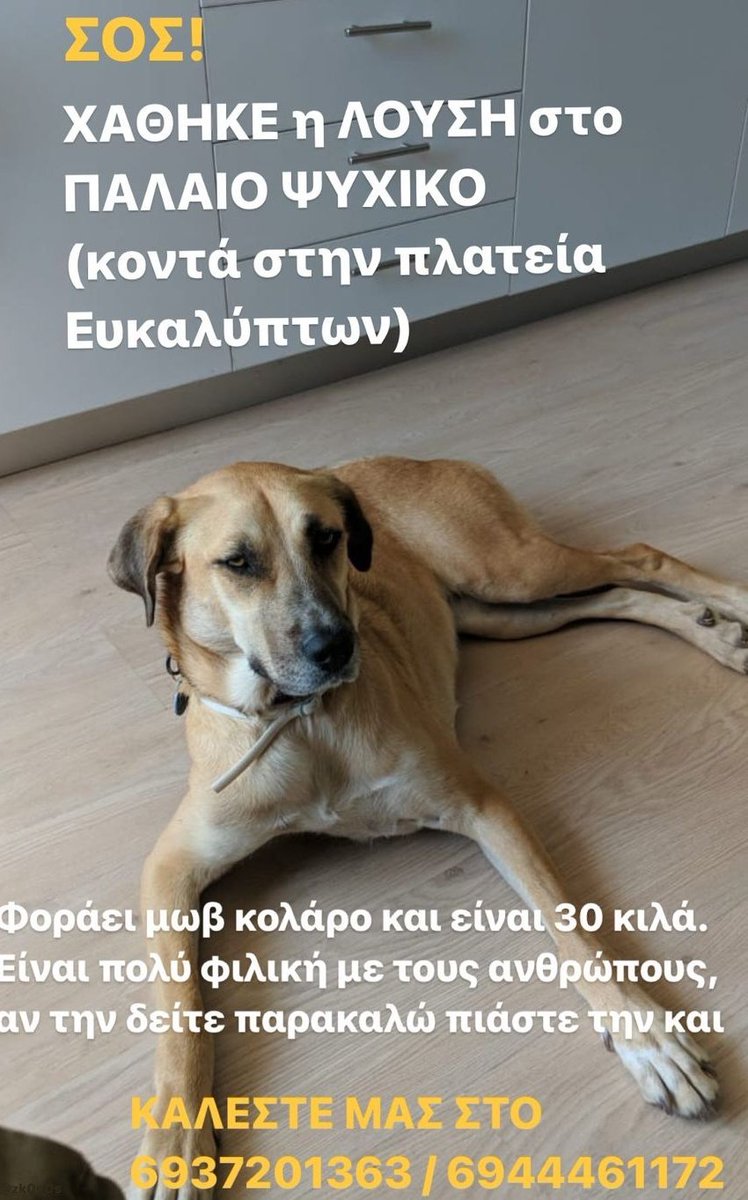 Twitter μπορείς να κάνεις το θαύμα σου σε παρακαλώ πολύ... Όποιος τη δει να με πάρει τηλέφωνο αμέσως