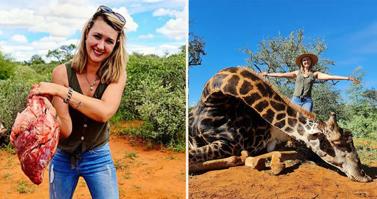 .@RickyGervais, how SICK is this?!?

A Giraffe Had It's Heart Cut Out By Someone Who DOESN'T Have One Of Her Own!!! 😡😡

South African Trophy Hunter Kills A Giraffe And Cuts Out Its Heart For A Valentine’s Day Gift To Her Husband!!

Valentine’s Day for most is a heart-warming