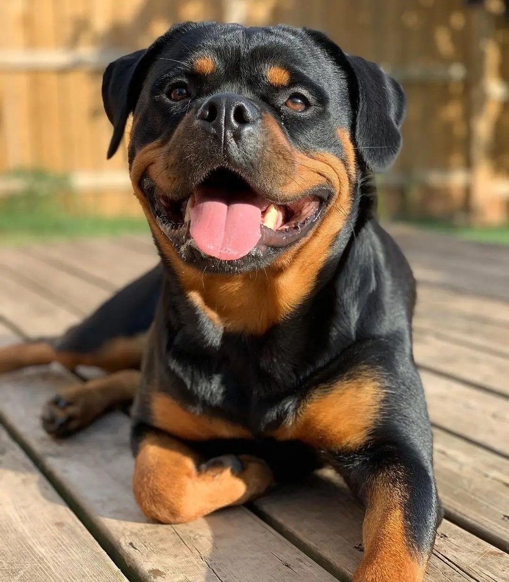 groetmann's tweet photo. Smile you're on camera. https://t.co/BuP64EnZZF