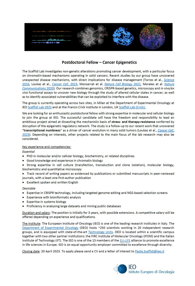 ScaffidiLab's tweet photo. Two #postdoc and one predoc positions (wet or dry) are available in our Italian site in Milan to study #epigentics and #chromatin dysregulation in #cancer https://t.co/lF121Sc8SZ
