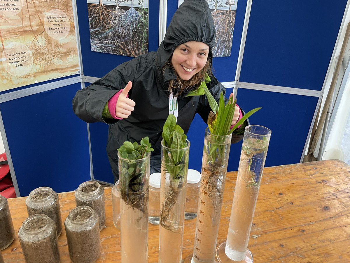 Saoirse Tracy tweet media