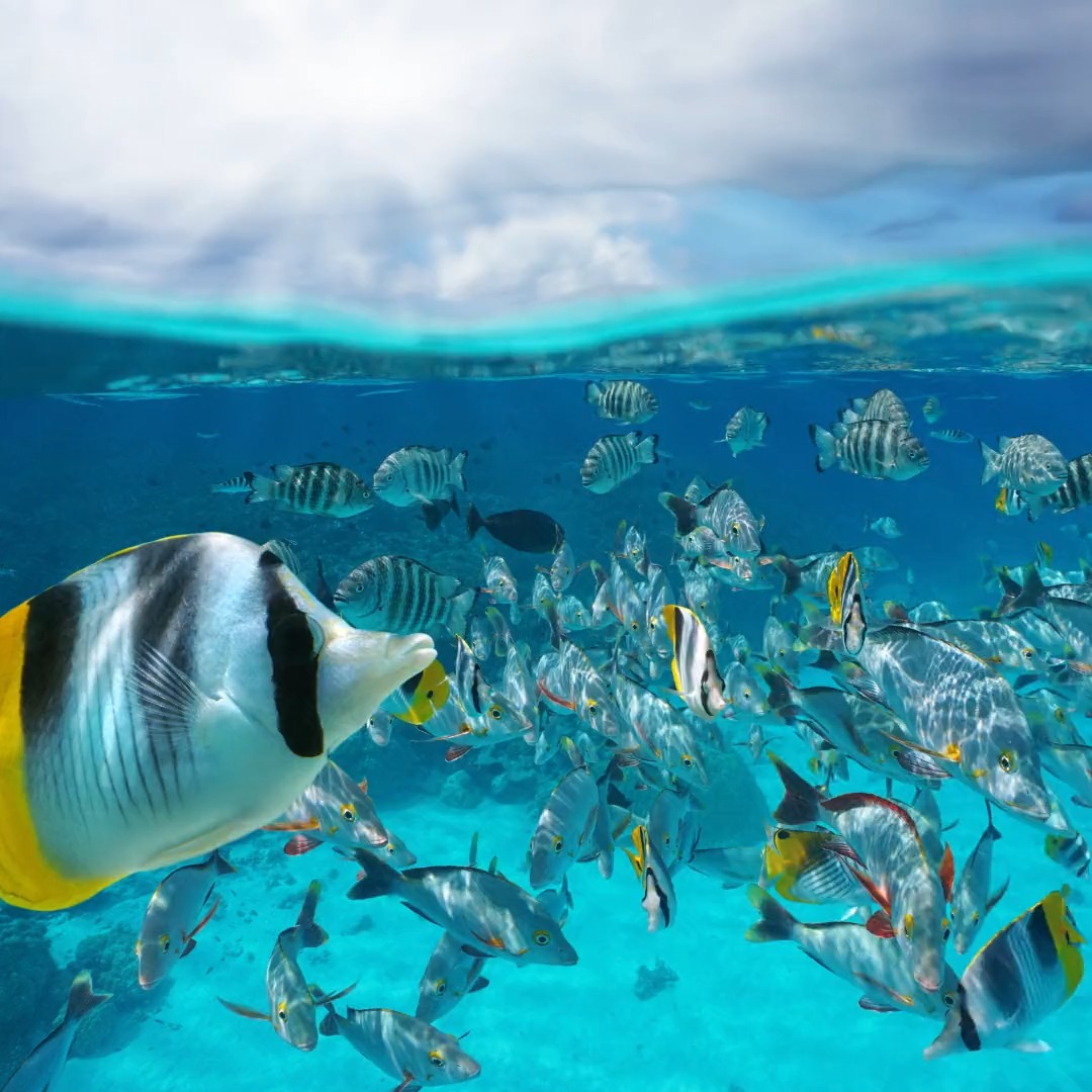 united-nations-in-thailand-on-twitter-rt-unep