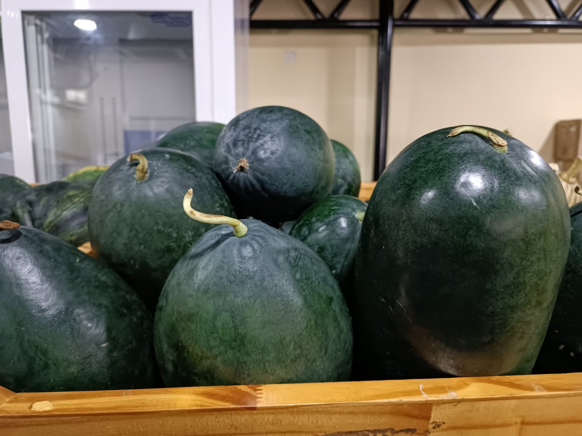 ގދ.ވާދޫ އިން ރަހަމީރު ކަޅުކަރާ ޝިޕްމެންޓެއް މިއަދުވަނީ ލިބިފަ! 😀
 ހޯލް ސޭލް: 18 ރުފިޔާ (5 ކިލޯއިން ފެށިގެން)
 އޯޑަރު ކޮށްލެއްވުމަށް 3012640 އަށް ގުޅުއްވާލައްވާ، ނުވަތަ 7291130 ވައިބާރ ކޮށްލައްވާ!