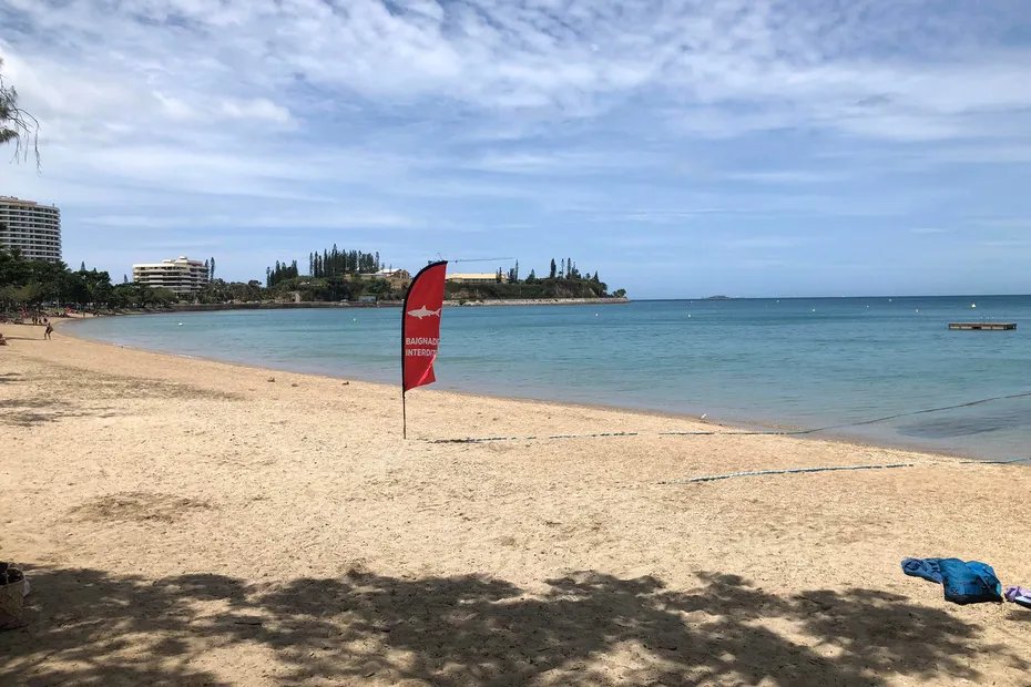 la1ere's tweet image. 🦈 Attaques de #requins : la baignade interdite jusqu'en fin d'année à #Nouméa, le temps d'installer un dispositif de sécurité

🔶 La maire maintient l'interdiction jusqu’à l’installation de barrières anti-requins en novembre ou décembre 2023

📱💻 la1ere.francetvinfo.fr/nouvellecaledo…