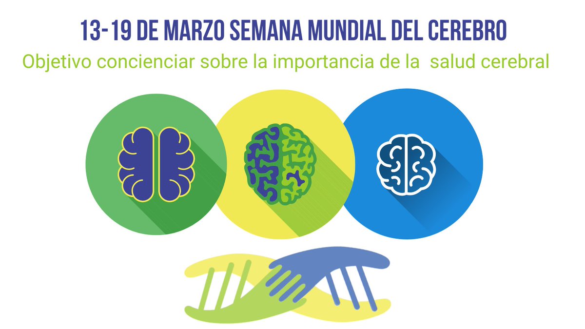 asglutdiece's tweet photo. Desde #asGLUTdiece apoyamos la difusión y los beneficios de la investigación en neurociencias.
La importancia de sensibilizar sobre síndromes como la #DeficienciaDeGlut1, con la esperanza que un diagnóstico precoz puede cambiar la vida de nuestros hijos/as.
#ComunidadGlut1💙💚💛 https://t.co/IyMwA1QUMx