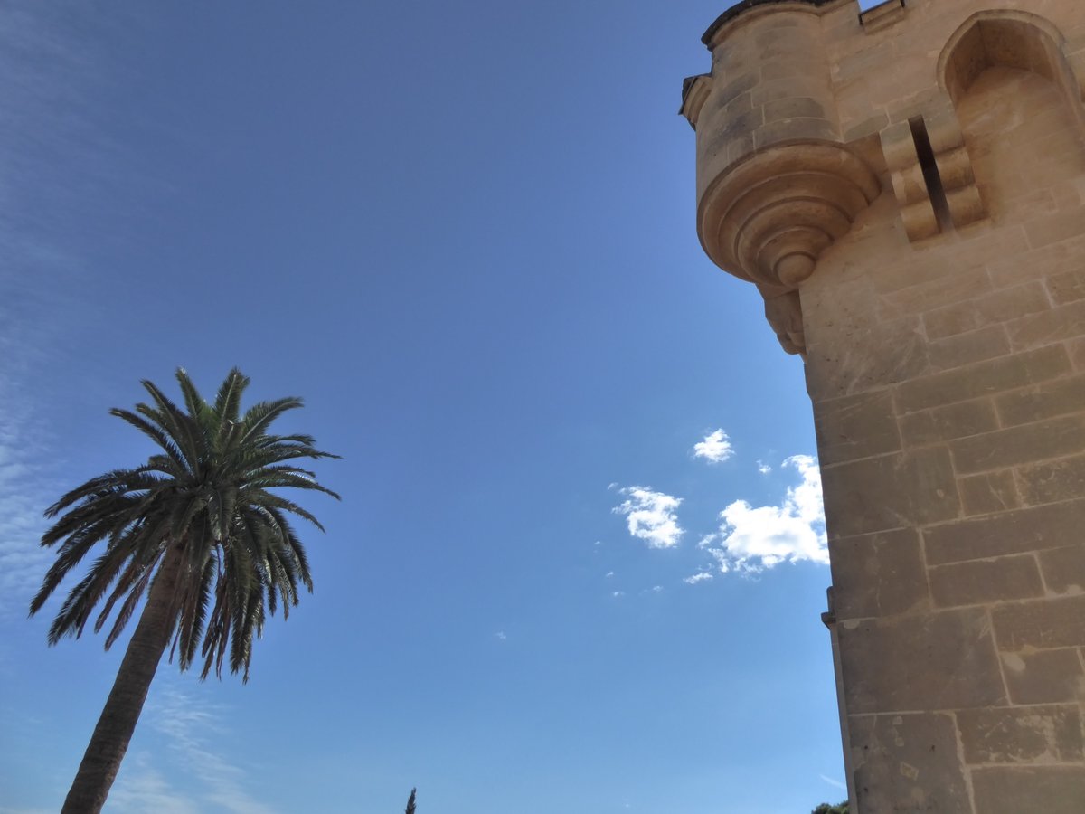 Shells_Travels's tweet image. Although I'm a nature lover, one of my first loves is architecture. 

I'm also a bit obsessed with patterns and...doors. 

A bit random, but today I thought I'd share a solo travel memory from Tarragona, #Spain.

#ThrowbackThursday 
#Travel 
#SoloTravel