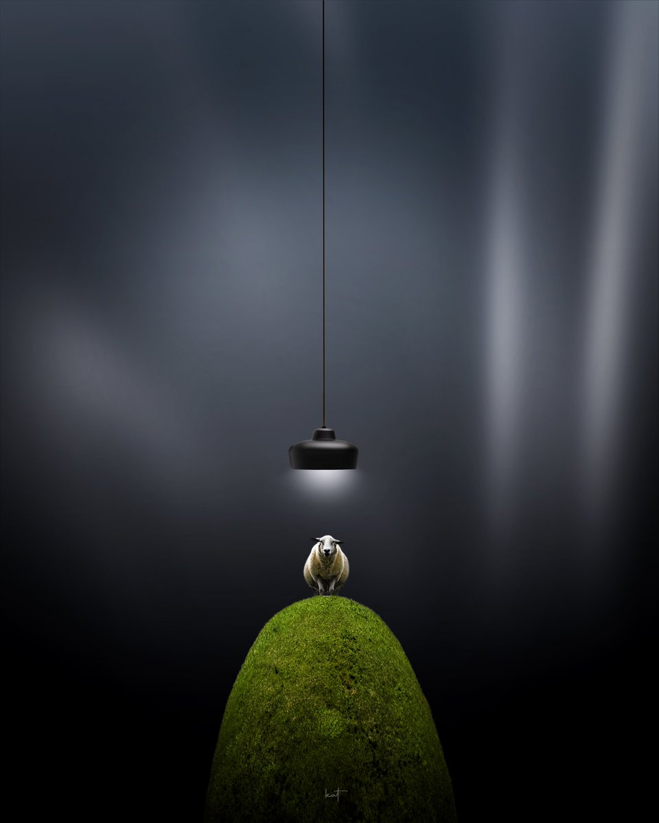 Illuminated Sheep III