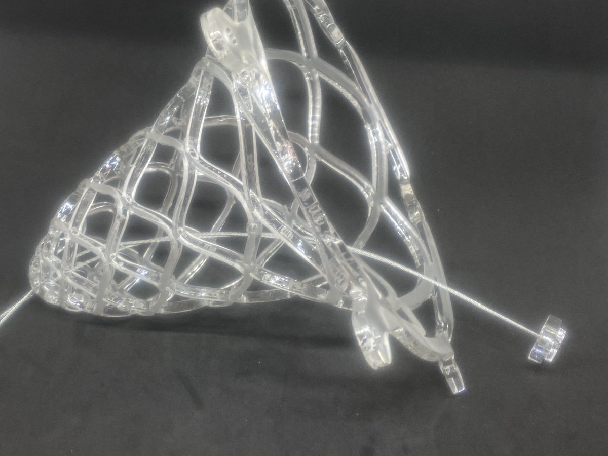 Science 12 tweet media