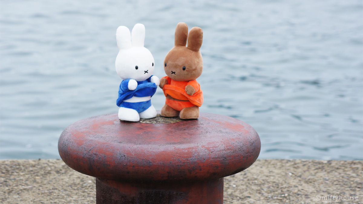 miffyhouse-ミッフィー専門店 on X: miffyhouse-ミッフィー専門店 on X: