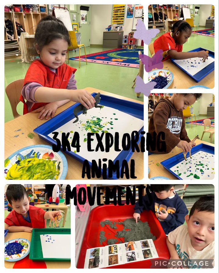 D31BeeHiveSI's tweet photo. #Tompkins #3KLife #AnimalMovements #3K4 @DrJoyAbrams @AP_JelaniMiller @DrMarionWilson @CSD31SI @NYCSchools https://t.co/n9OsSYCjAp
