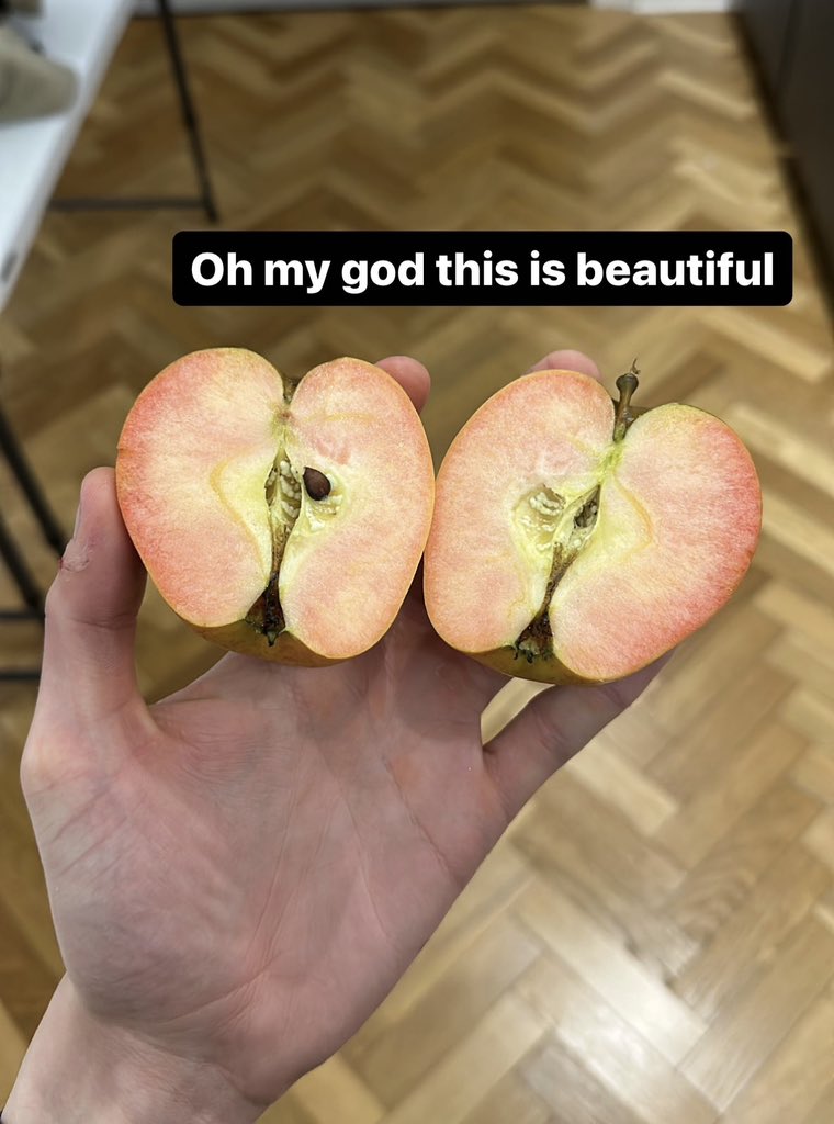kitwisp's tweet photo. This is the coolest thing I have ever eaten. Please have a good day - I hope you try one, you will not regret it #appletime https://t.co/bsugbXiUu9