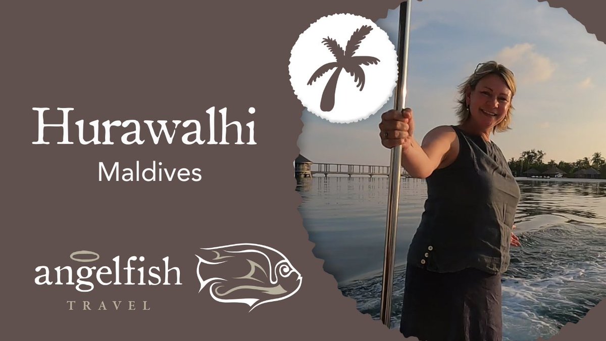 Angelfish Travel tweet media