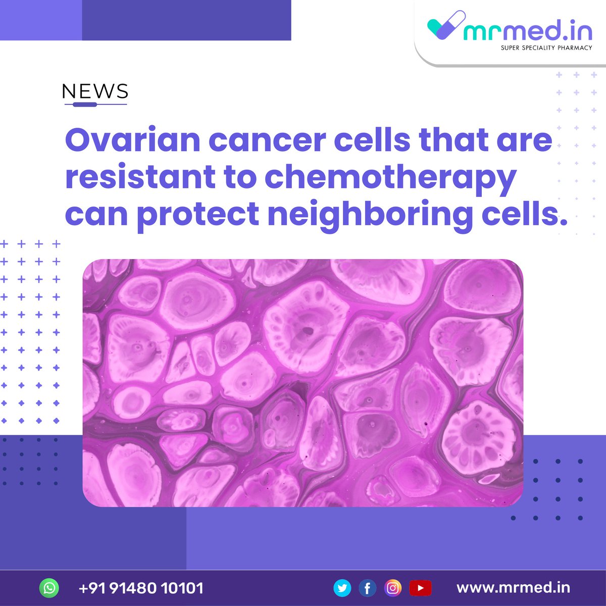 mrmedhq's tweet photo. Researchers from MWRI, the @UPMCHillmanCC Cancer Center, and @pittnews have found that targeting chemo-resistant quiescent cells improves the chemotherapy response in an ovarian cancer mouse model.
#CancerResearch #CancerCures #MrMed #Patientassistanceprograms https://t.co/ToGQGxUZlz