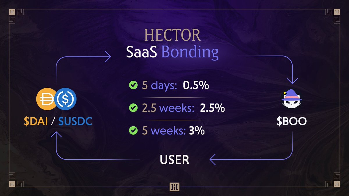 Blockchain Ecologist tweet media