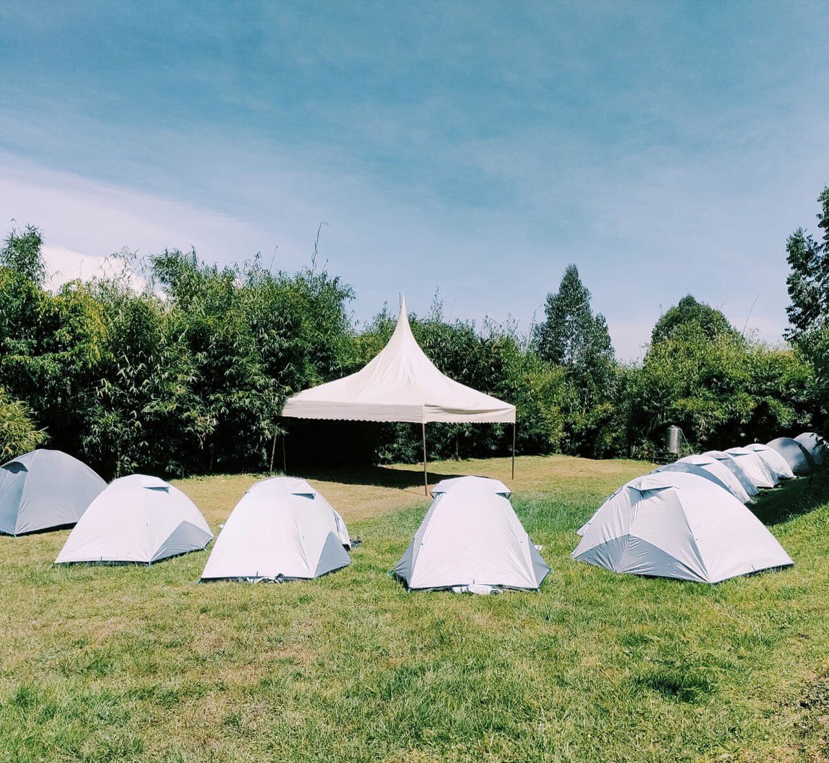 Aberdare Cottages & Fishing Lodge tweet media