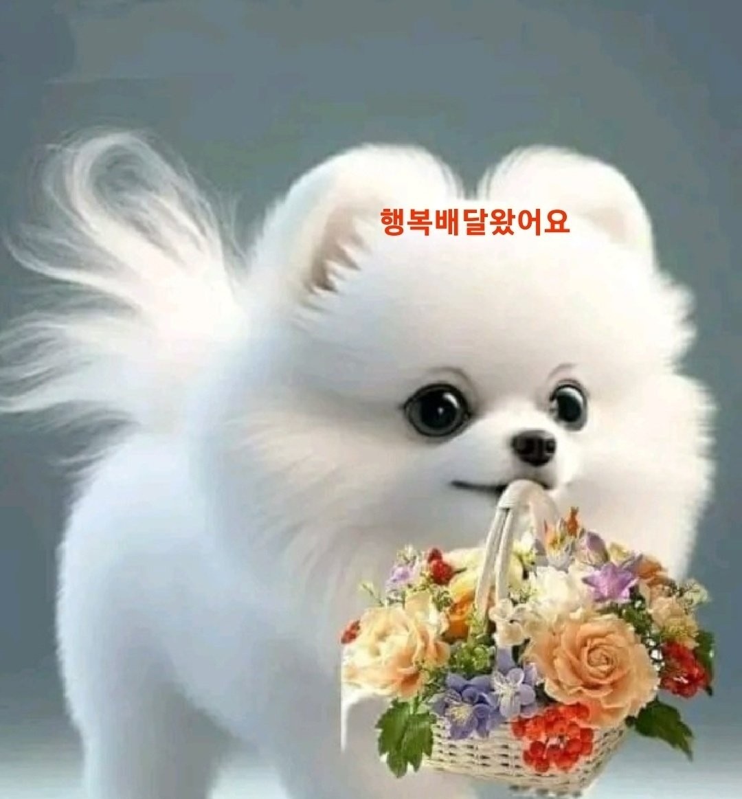 cooki (@choes4002) on Twitter photo 