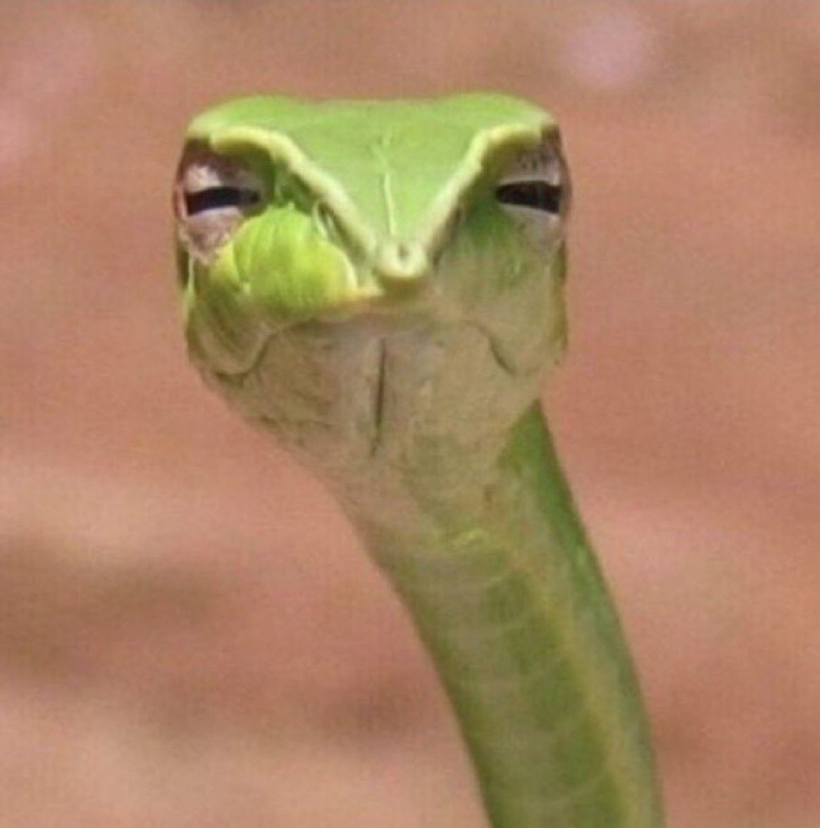 ZackAidel tweet media