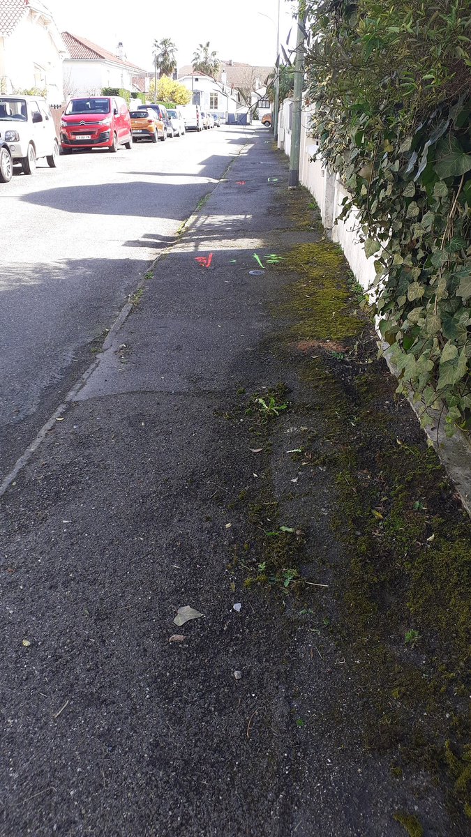 TAPAJPau's tweet photo. Effet avant, pendant, après le passage des tapajeurs palois le jeudi matin.
#Làoúlestapajeurspassentlherbetrépasse
#Jeunesse #precarite #tapaj #inclusion
@TAPAJFrance @Ville_Pau, @LaRepDpyrenees https://t.co/IcCIbbWf8a