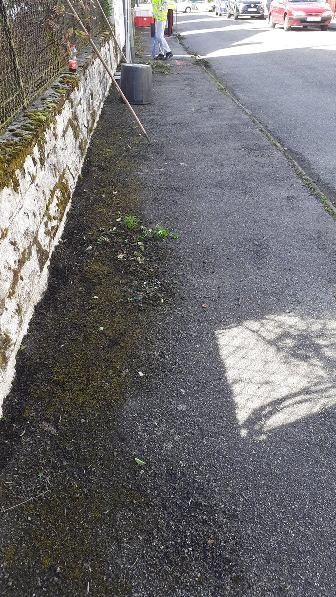 Effet avant, pendant, après le passage des tapajeurs palois le jeudi matin.
#Làoúlestapajeurspassentlherbetrépasse
#Jeunesse #precarite #tapaj #inclusion
@TAPAJFrance <a href="/Ville_Pau/">Pau, Capitale Humaine</a>, <a href="/LaRepDpyrenees/">La Rép des Pyrénées</a>