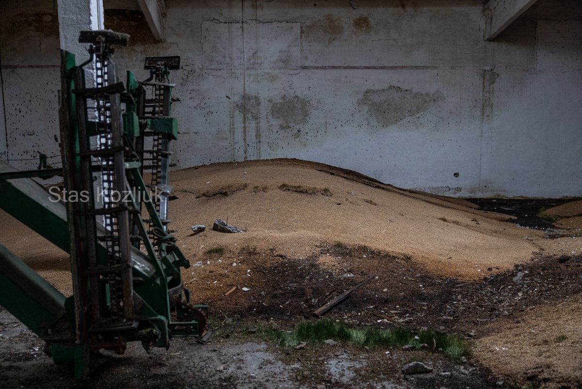 ReporterTired's tweet image. Історія про фермерів і деокупований південь України. Якщо коротко – виглядає все, м’яко скажемо, не дуже оптимістично. Пиздець, якщо коротше. Поля заміновані, фермери пограбовані, грошей нема, техніки нема, посівного матеріалу нема.