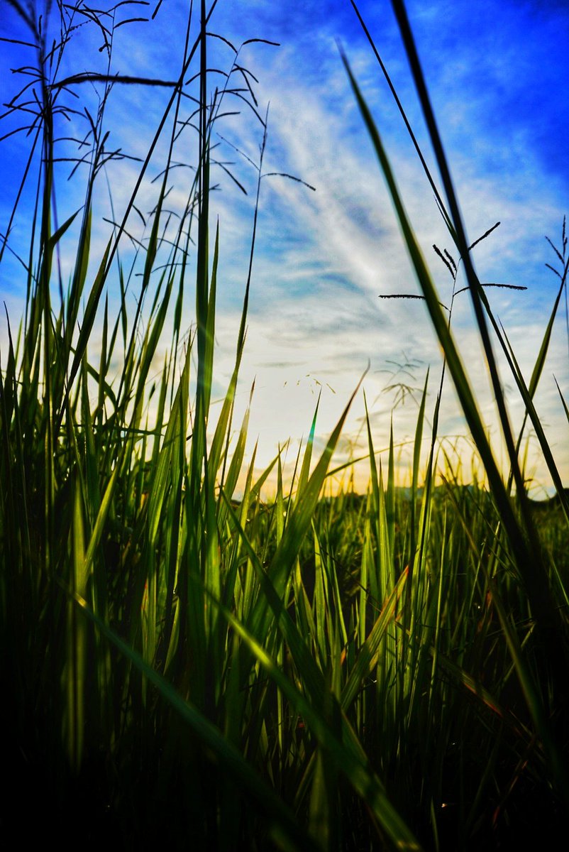 farhanmms2's tweet photo. My best picture 
@Sony @SonyMalaysia #zve10 #photography #photographer #Sony #potraitphotographer https://t.co/OOgX5KonRq