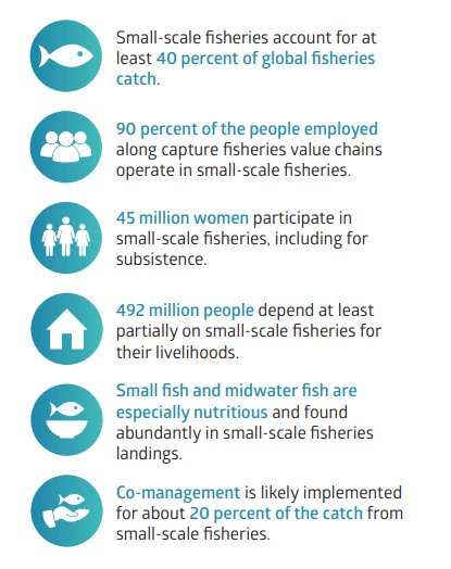 n_fisheries's tweet photo. Some of the key finding from the illuminating hidden harvest reports: 40% of the catch 90% of employment 45 millions women directly involved &amp; 492 million people(women &amp; men) depending on SSF-provides nutritious food and with existing co-managmant structures https://t.co/ybBdzf7Pzg