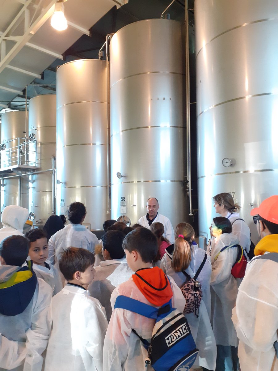 VilafrancaAj's tweet photo. 👀Alumnes de 5è de l’@EscolaBalta van visitar ahir el celler de #Vilafranca de la cooperativa @covides en el marc del programa Cultura Emprenedora a l’Escola (#CuEmE), impulsat per @promecovila per apropar les competències emprenedores a l'alumnat d’educació primària. https://t.co/LsSC2S5b1z