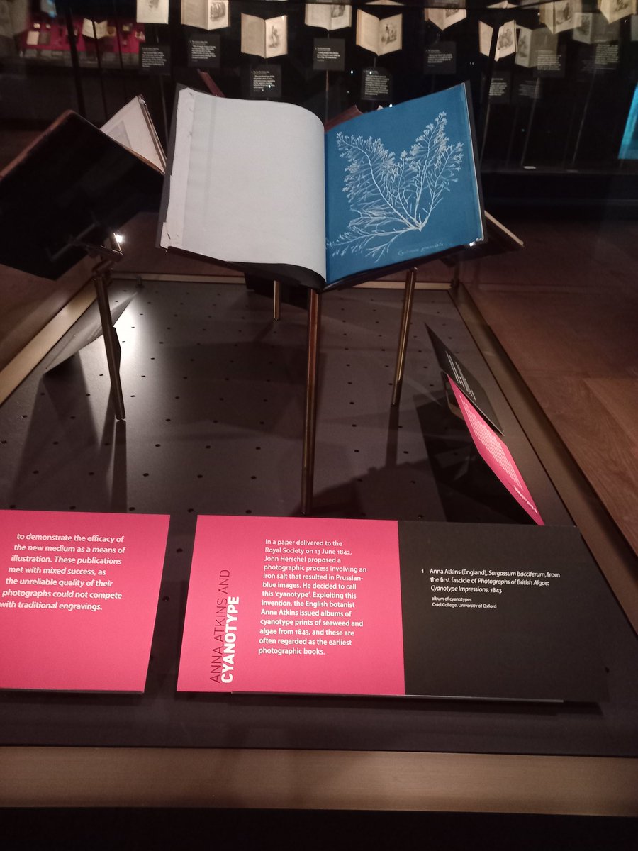 RoseTeanby's tweet photo. Today is the 224th birthday of pioneering photographer Anna Atkins. 

Great to see her cyanotypes on display at A New Power exhibition @bodleianlibs with many other fascinating early photographic treasures. A must visit when in Oxford. 

https://t.co/v4jYCQGnqw https://t.co/D3QY6ML5jD