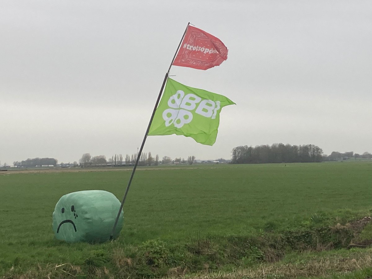 Ongeloof overheerste, maar een dag na #PS2023 staat  #BBB weer met de voeten in de klei.  Femke Wiersma: 'We gaan echt invloed uitoefenen op het stikstofbeleid.' 
bit.ly/3Tju5L4