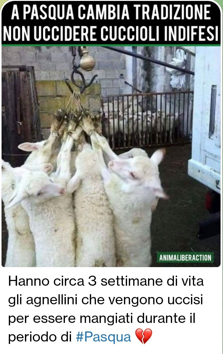 partigianovegan's tweet photo. Che altro aggiungere... @AnimaLiberActio https://t.co/2f1yzbBNTM