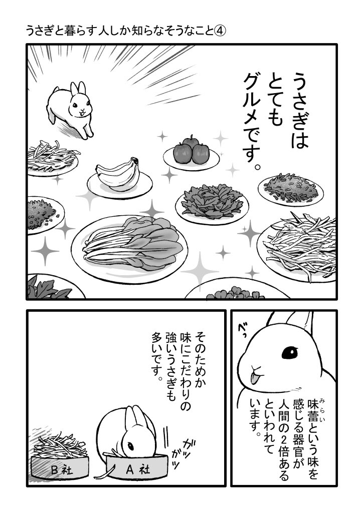 うさぎと暮らす人しか知らなそうなこと④を描きました。

#うさぎのいる暮らし 