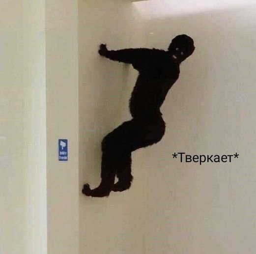 его ежиное величество tweet media